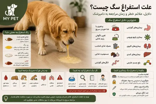 سگی با علائم ناراحتی گوارشی در محیط خانه؛ تصویری آموزشی که به بررسی دلایل استفراغ سگ، نشانه‌های هشداردهنده و اهمیت مراجعه به‌موقع به دامپزشک برای تشخیص و درمان مشکلات احتمالی اشاره دارد. لوگوی MY PET در گوشه تصویر قرار گرفته است.